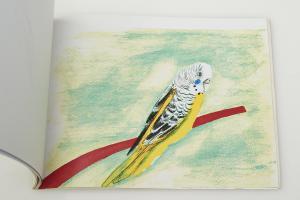 MCKENNA Noel 1956,Budgerigars,1997,Shapiro AU 2024-03-12