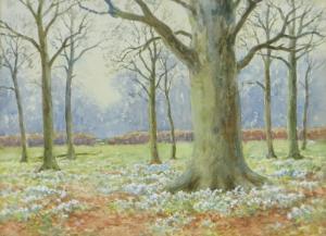 MCKINLEY S,Wooded landscape,Burstow and Hewett GB 2016-02-24