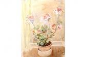 MCNAIRN STELLA 1922-2007,The Pink Geranium,Shapes Auctioneers & Valuers GB 2015-03-07