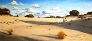 MCNAMARA Paul,Sand Dune Landscape - Coorong,1986,Theodore Bruce AU 2014-03-12