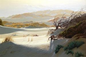 MCNAMARA Paul,The Sand Hills - Coorong, South Australia,1985,Theodore Bruce AU 2014-03-12