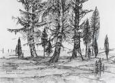 MCNAUGHT Euphemia 1902-2002,SPRUCE TREES,Hodgins CA 2011-02-07