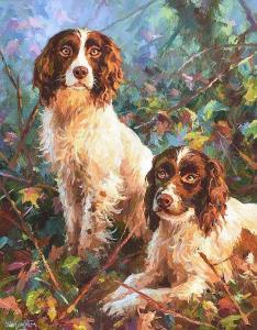 McNaughton Donal 1900-2000,TWO SPRINGERS,Ross's Auctioneers and values IE 2020-01-29