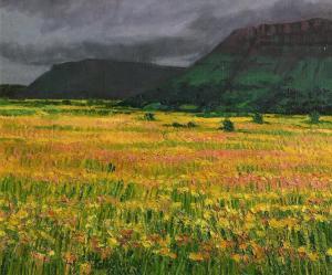 MCWILLIAMS Catherine 1940,Distant Ben Wiskin with Meadow,1999,Morgan O'Driscoll IE 2018-03-05