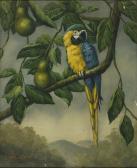 MEAD Larkin Goldsmith 1835-1910,A blue parrot. Signed lower left M. Larkin,Eldred's US 2007-11-16
