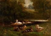 MEADOWS Christopher 1863-1947,DUCKS ON THE LAKESIDE,McTear's GB 2012-08-14