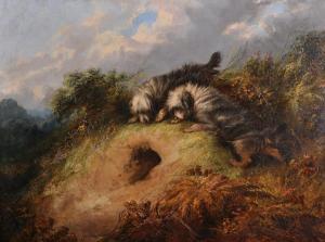 MEARNS A 1855-1864,Terriers by a Rabbit Hole,1872,John Nicholson GB 2017-06-28