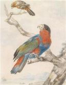 MEERTENS Abraham,Ein Papagei und Fliegenschnäpper auf einem Ast vor,Palais Dorotheum 2012-05-02