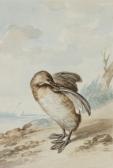 MEERTENS Abraham 1757-1823,Oie sur le rivage,Christie's GB 2023-03-22