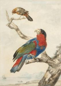 MEERTENS Abraham 1757-1823,Un perroquet et un autre oiseau ,Artcurial | Briest - Poulain - F. Tajan 2023-09-26