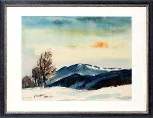 MEINIG Walther 1902-1987,Winterliche Partie im Schwarzwald,Bloss DE 2016-12-05
