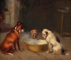 MERCHANT Henry 1800-1900,Drei Hunde an einer dampfenden Schüssel,Von Zengen DE 2018-11-30