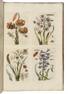 MERIAN Maria Sybilla 1647-1717,De Europische Insecten,Christie's GB 2023-07-14