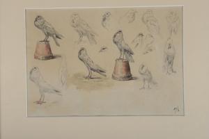 MERITE Edouard Paul 1867-1941,Etude de colombes,De Maigret FR 2023-03-31