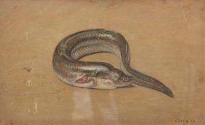 MERITE Edouard Paul 1867-1941,L'anguille,Mercier & Cie FR 2018-02-18