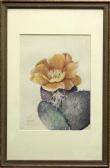 MERRILL A.J 1885-1973,Flowering Cactus,Clars Auction Gallery US 2010-01-10