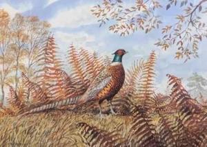 Merrin peter 1900-1900,A Ring-necked pheasant in surrounding foliage,Keys GB 2022-07-22