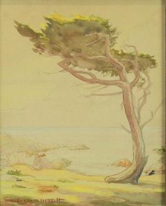 MERRITT Warren Chase 1897-1968,Monterey Cypress,Clars Auction Gallery US 2019-10-12