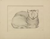 MESSENGER Ivan 1895-1983,Portrait of our Cat,Clars Auction Gallery US 2011-09-10