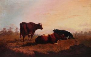 metcalfe j 1840,Three cattle resting in a field at sunset,Mallams GB 2016-06-22