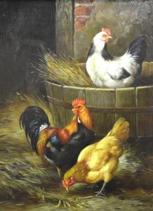 METSU Ch,A barn interior with trio of chickens,Andrew Smith and Son GB 2013-10-29