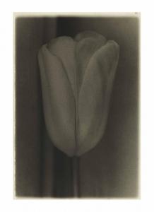 METZNER Sheila 1939,Tulip,1978,Christie's GB 2017-10-10