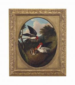 Meucci Michelangelo 1840-1909,Red Crested Birds with Youth,Christie's GB 2017-01-19