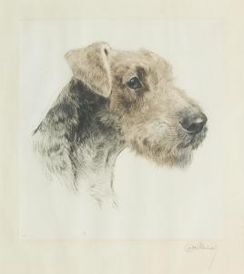 MEYER EBERHARDT Kurt 1895-1977,An Airedale Terrier,Bonhams GB 2023-11-08