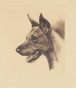 MEYER EBERHARDT Kurt 1895-1977,Study of a Great Dane,Clevedon Salerooms GB 2023-07-13