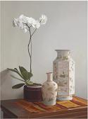 MEZIAT Renato 1952,White Orchid and Vases,2006,Christie's GB 2008-11-20