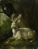 MICHAEL SCHNITZLER 1782-1861,A white deer.,Galerie Koller CH 2010-09-13