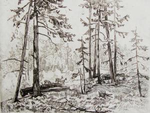 Miesnieks Karlis 1887-1977,Forest,1945,Antonija LV 2019-05-03
