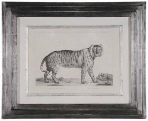 MIGER Simon Charles 1736-1820,Felis Tigris,1778,Brunk Auctions US 2017-03-24