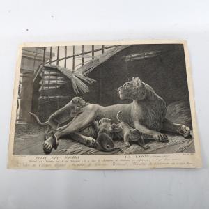 MIGER Simon Charles 1736-1820,lioness and cubs,Burstow and Hewett GB 2023-01-25