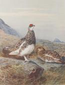 MILLAIS John Guille 1865-1931,The Natural History of British Game Birds,Bonhams GB 2016-10-19