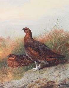 MILLAIS John Guille 1865-1931,The Natural History of British Game Birds,Bonhams GB 2018-10-24