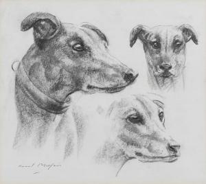 MILLAIS Raoul 1901-1999,Study of greyhounds,Woolley & Wallis GB 2023-12-13