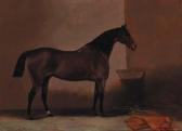 MILLER G.W 1800-1800,A bay hunter in a stable,19th Century,Christie's GB 2000-06-15
