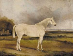MILLER G.W 1800-1800,A grey horse in a landscape,1864,Christie's GB 2000-11-30