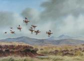 MILLIKEN Robert William 1920-2014,GROUSE IN FLIGHT,Ross's Auctioneers and values IE 2015-12-02
