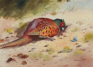 MILLIKEN Robert William 1920-2014,PHEASANT,Ross's Auctioneers and values IE 2024-01-24