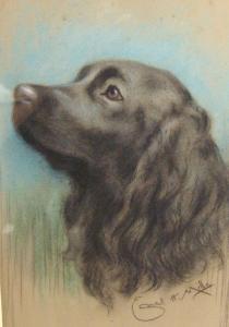 MILLS Ernest H 1900-1900,Pastel portrait of a dog,Eastbourne GB 2009-09-03