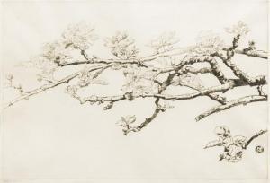 MILLS WHITHAM SYLVIA,Prunus Blossom,20th century,Rowley Fine Art Auctioneers GB 2018-11-20