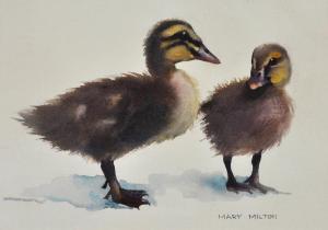 MILTON Mary 1928,Ducklings,Elder Fine Art AU 2020-03-02