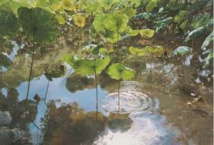 MINAKUCHI Hiromu,Lotus pond,Mainichi Auction JP 2023-01-13