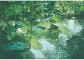 MINAKUCHI Hiromu,Lotus Pond - shining surface of the water,Mainichi Auction JP 2019-11-08