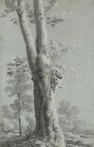 MINOZZI Bernardino 1699-1769,A tree,Christie's GB 2007-12-05