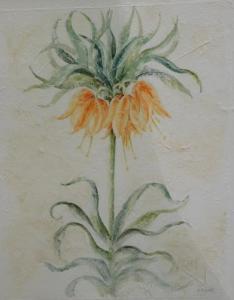 MITCHELL Alison 1900,Fritilaria,Golding Young & Co. GB 2021-02-24