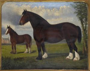MITCHELL E 1800,PORTRAIT OF A SHIRE MARE AND FOAL IN A FIELD,Mellors & Kirk GB 2013-11-27