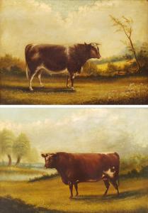 Mitchell Winston,Portraits of Cattle in the Field,1886,Duggleby Stephenson (of York) UK 2021-03-25